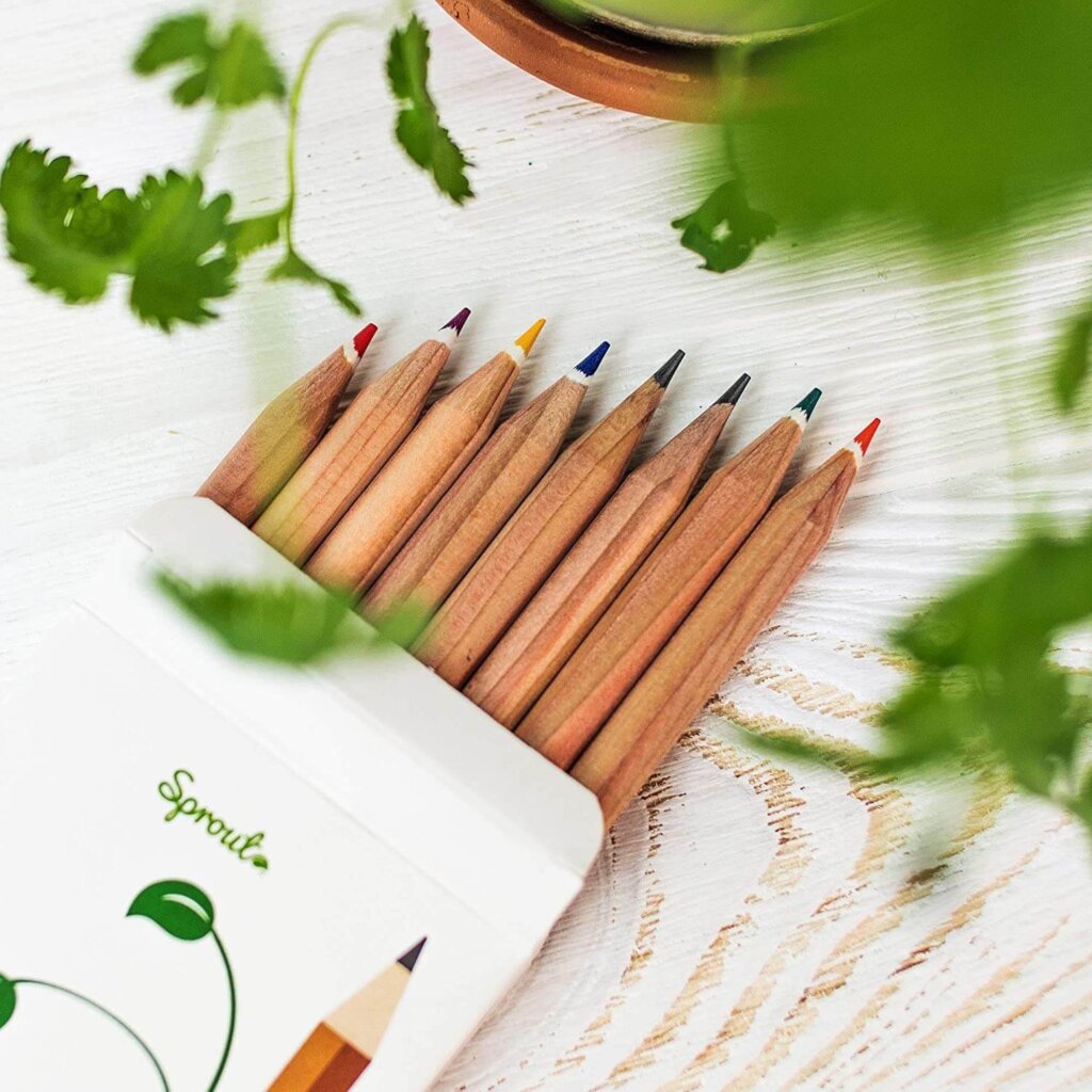 Plantable colored pencils
