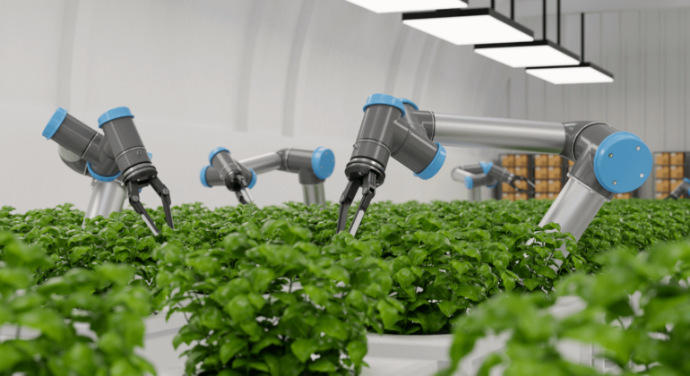 AI and agriculture: inside a greenhouse, robot arms tend to growing plants.